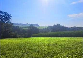 469373-Vorschaubild3