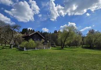 484847-Vorschaubild2