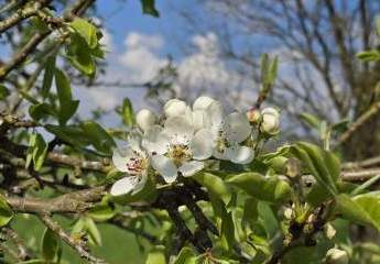 484847-Vorschaubild3