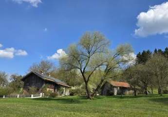 484847-Vorschaubild4