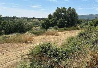 Hidden Valley Ranch