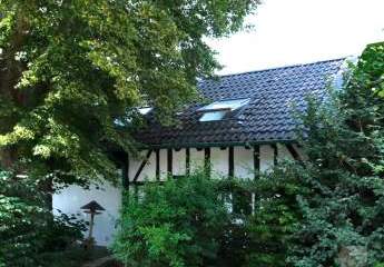 442128-Vorschaubild2