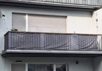 442139-Vorschaubild3