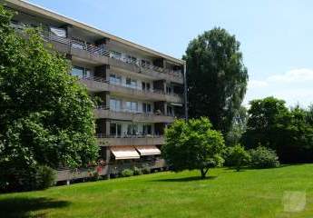 442142-Vorschaubild3