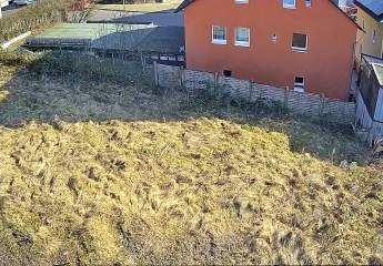 443415-Vorschaubild3