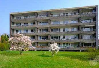 2 Wohnungen im Paket Charmante 2-Zimmer & 3-Zimmerwohnung mit Balkon  in Solingen-Wald