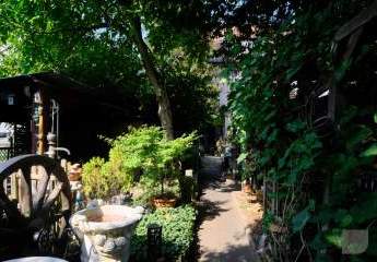 451387-Vorschaubild2