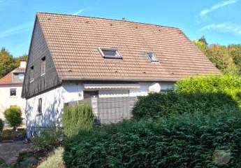 461419-Vorschaubild4