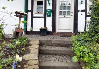 469231-Vorschaubild2