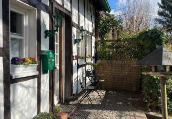 469231-Vorschaubild3