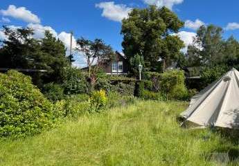 469231-Vorschaubild4