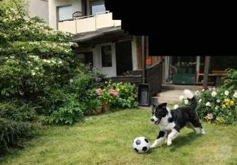 467289-Vorschaubild4