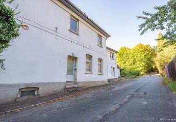 448527-Vorschaubild4