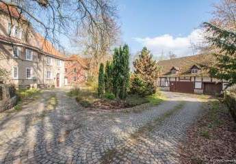 448563-Vorschaubild2