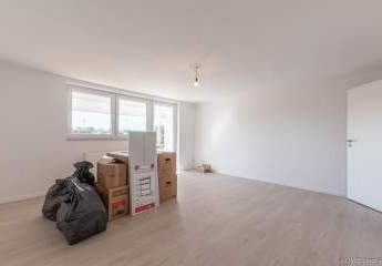 449101-Vorschaubild3