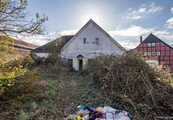 455983-Vorschaubild2