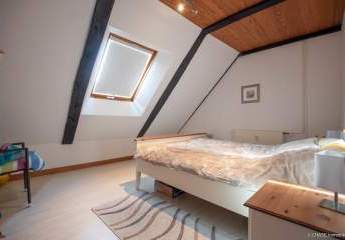 458175-Vorschaubild4