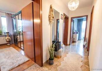 465877-Vorschaubild2