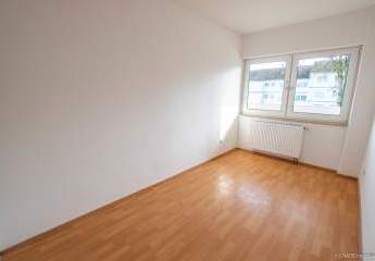 468009-Vorschaubild3