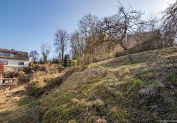 476647-Vorschaubild4