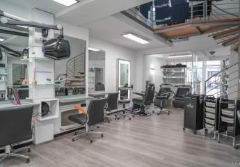 476821-Vorschaubild3