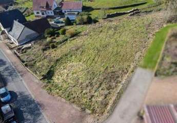 444295-Vorschaubild2