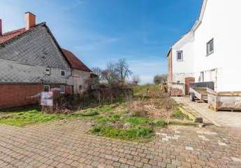 448291-Vorschaubild3