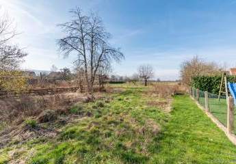 448291-Vorschaubild4