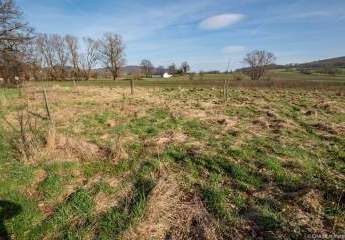 444296-Vorschaubild4