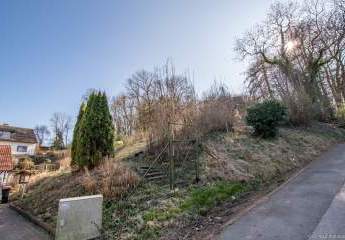 476647-Vorschaubild3