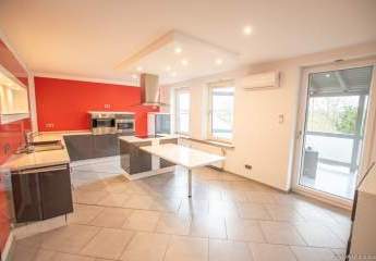 479890-Vorschaubild4