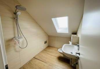 479892-Vorschaubild4