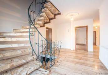 466910-Vorschaubild3