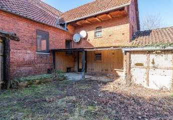 478696-Vorschaubild3