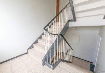 495330-Vorschaubild3