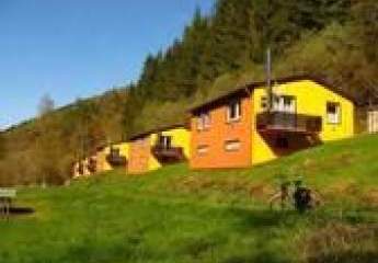 442530-Vorschaubild2