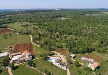 452704-Vorschaubild4