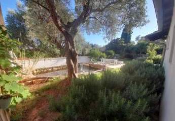 471456-Vorschaubild3