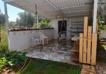 471456-Vorschaubild4