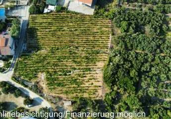 482989-Vorschaubild4