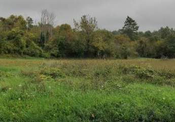 482990-Vorschaubild4