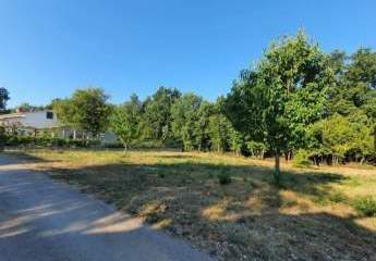 482991-Vorschaubild3