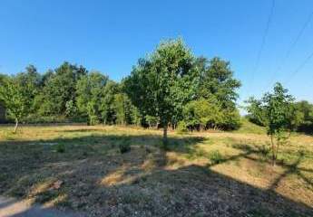 482991-Vorschaubild4