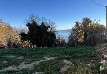 482992-Vorschaubild2