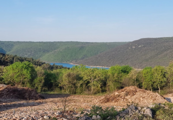 482993-Vorschaubild3