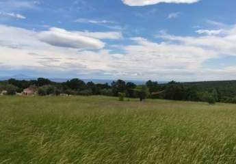 483408-Vorschaubild2