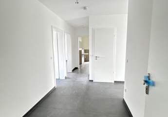 444090-Vorschaubild2