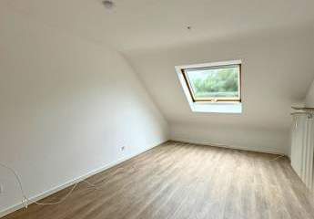 447444-Vorschaubild2