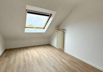 447444-Vorschaubild3