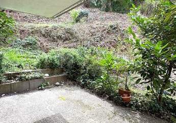 453255-Vorschaubild3